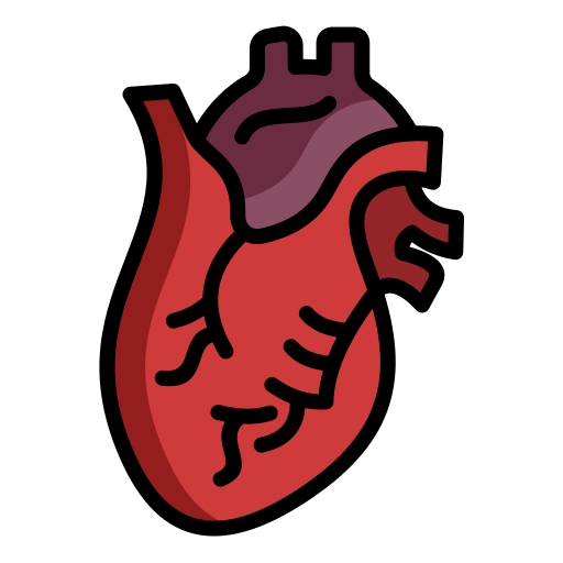 Heart Valve Surgeries