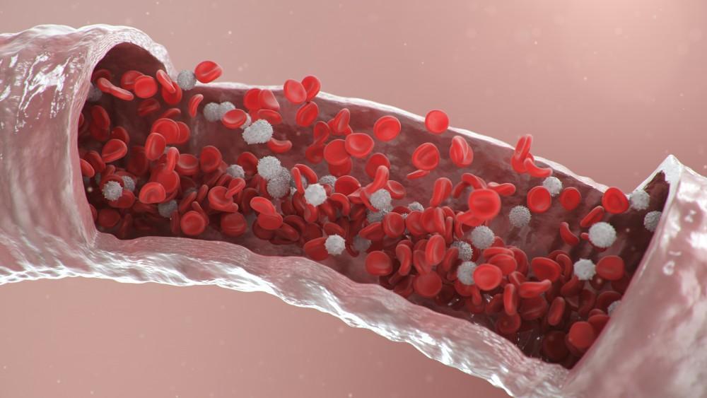 Cardiothoracic and Vascular Surgery